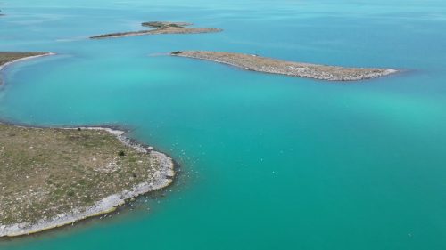 Դեպի ճահճացում․ կապուտակ Սևանի կանաչ ահազանգը