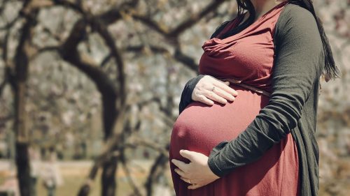 Արցախում հղիներին սննդամթերքի և հիգիենայի պարագաների տեսքով  աջակցություն կտրամադրվի