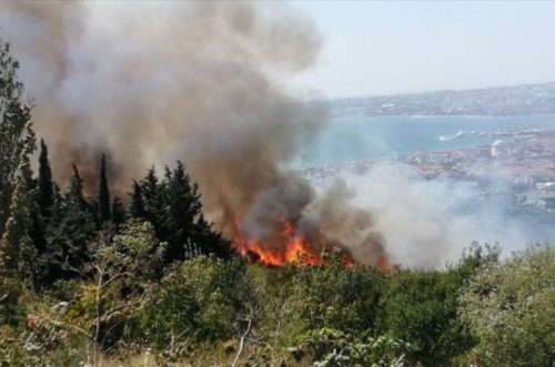 Ստամբուլի անտառապատ հատվածում հրդեհ է բռնկվել
