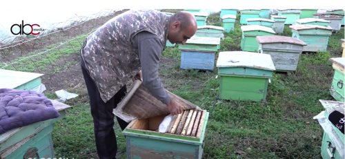 From home to farm, from farm to forest: beekeeper busier than bee