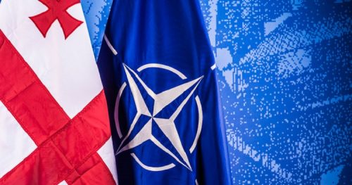 В Грузию прибыл представитель НАТО для ознакомления с реформами в сфере обороны