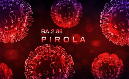 В Москве зафиксированы случаи заражения разновидностью коронавируса  «Пирола»