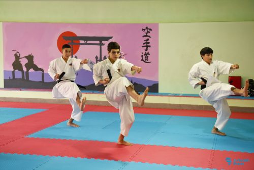 В Абовяне вновь открылся Арцахский филиал Федерации традиционного каратэ-до