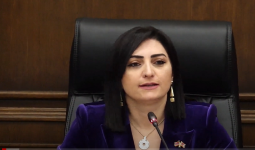 Тагуи Товмасян: Правоохранительная система наказывает только оппозиционеров и игнорирует действия ГД