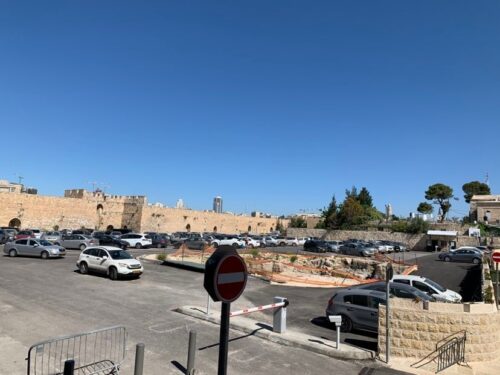 «Կովերի պարտեզի» վրա հարձակման ժամանակ ձերբակալված երկու հայ երիտասարդները ազատ են արձակվել