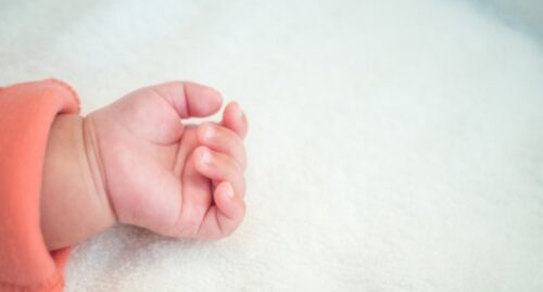 В семьях погибших военнослужащих родились 56 детей