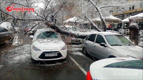 Աբովյան փողոցում հսկայական ծառն ընկել է երթևեկող ավտոմեքենաների վրա