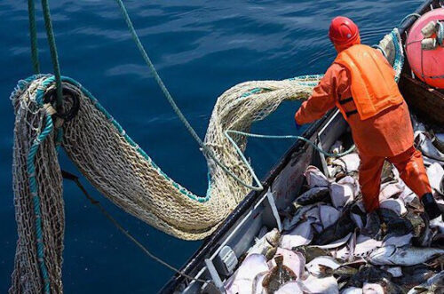 Մեծ Բրիտանիան այլևս չի կարողանա ձկնորսությամբ զբաղվել Բարենցի ծովում․ Ռուսաստանը չեղարկել է համաձայնագիրը