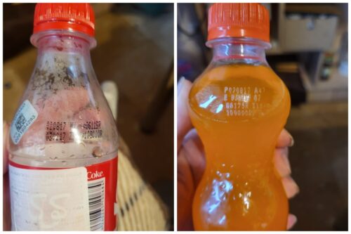 Queen Burger-ում 7 տարվա հնության Cola և Fanta է վաճառվել (լուսանկարներ)