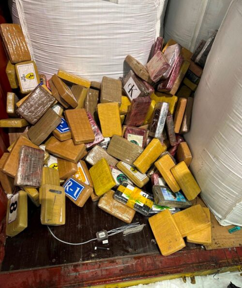 1200 kg cocaine seized at Great Port of Saint Petersburg