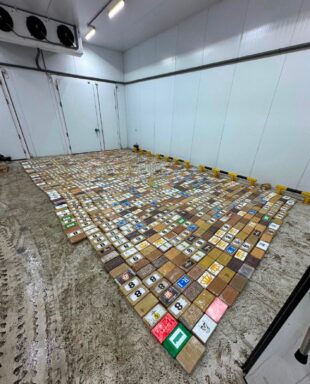 Սանկտ Պետերբուրգի նավահանգստում 1200 կգ կոկաին է հայտնաբերվել