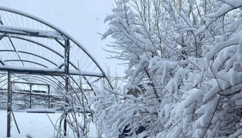 Приближается новый циклон, ожидается снег, в некоторых регионах сильный снегопад