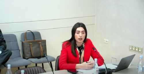 Замминистра внутренних дел: В РА поступило 411 заявлений о возвращении незаконно проживающих граждан из ЕС 