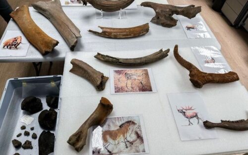 Mammoth bones found in Brussels subway: World news recapped