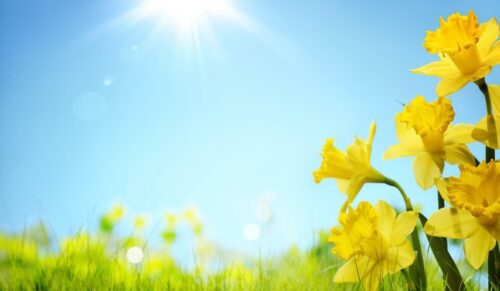 Օդի ջերմաստիճանը  աստիճանաբար կբարձրանա