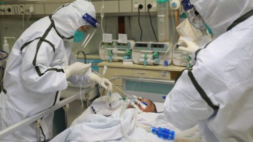 В США зарегистрирована смерть от чумы: краткий обзор международных новостей