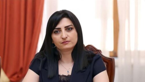 Իմ դիմումի հիման վրա ՔԿ-ում վարույթ է նախաձեռնվել Նարեկ Սամսոնյանի բռնի ձերբակալության կապակցությամբ. Թագուհի Թովմասյան