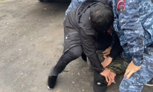 Тагуи Товмасян направила письма генпрокурору и министру внутренних дел