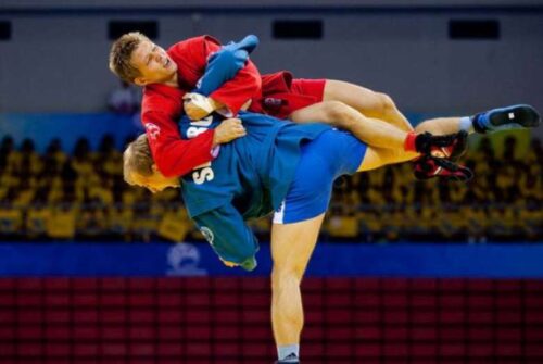 Чемпионат мира по самбо будет проводиться в Армении каждый год