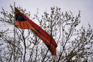 Թաթոյան հիմնադրամը Տավուշի մարզում փաստահավաք աշխատանքերի վրա հիմնված զեկույց է հրապարակել