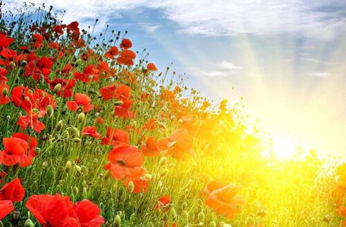 Օդի ջերմաստիճանը կբարձրանա 3-5 աստիճանով