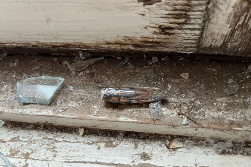 Минобороны РА: Один из домов в селе Тех был поврежден в результате обстрела азербайджанских ВС 