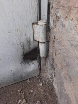 Ադրբեջանական զինուժի կրակոցներից Տավուշում տներ, գերեզմաններ ու մեքենա է վնասվել