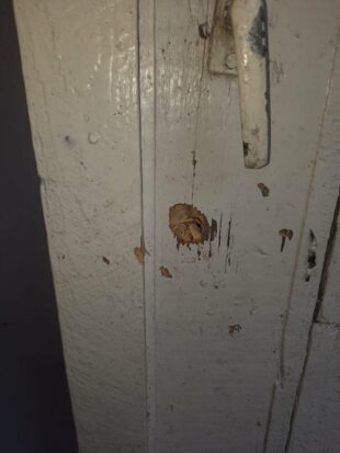 Ադրբեջանական զինուժի կրակոցներից Տավուշում տներ, գերեզմաններ ու մեքենա է վնասվել