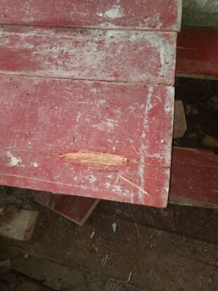 Ադրբեջանական զինուժի կրակոցներից Տավուշում տներ, գերեզմաններ ու մեքենա է վնասվել