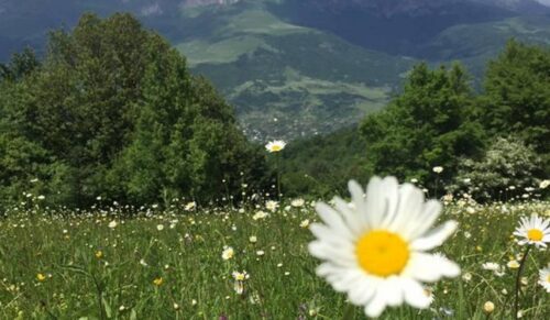 Հնարավոր է կարճատև անձրև և ամպրոպ․ առաջիկա օրերի եղանակի տեսությունը