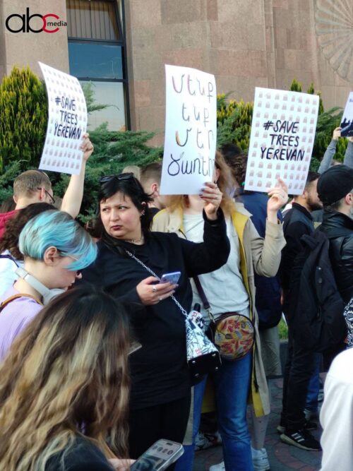 Ծառերի առողջ լինելը ապացուցելու դեպքում այլևս չենք կտրի. Ավինյան