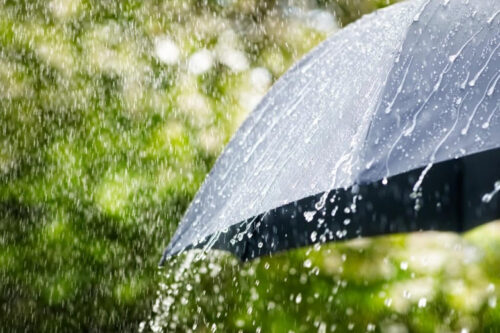 Ապրիլի 19-21-ի ցերեկն առանձին շրջաններում սպասվում է կարճատև անձրև և ամպրոպ