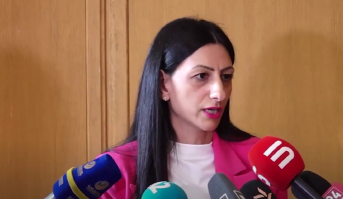 Պետական մարմիններից պարզաբանումներ ենք պահանջել․ ՄԻՊ-ը՝ Վեհափառի մուտքը Սարդարապատ խոչընդոտելու մասին