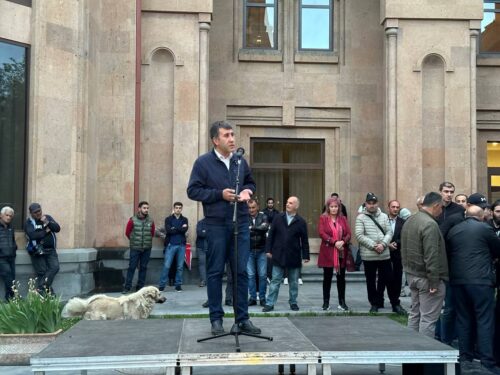 Մեկ շաբաթվա ընթացքում ավելի քան 300 քաղաքացի բերման է ենթարկվել. Մելիքյան