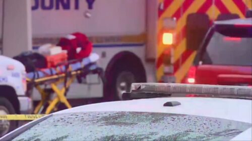 7 people killed in shooting in US