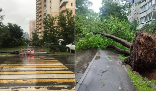 One person killed in Moscow in storm