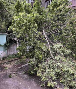 Վնասներ՝ քամու հետևանքով