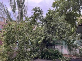 Վնասներ՝ քամու հետևանքով