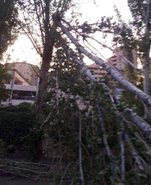 Վնասներ՝ քամու հետևանքով