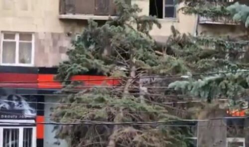 Ծառի ընկնելու հետևանքով գազամատակարարումը ժամանակավորապես կդադարեցվի