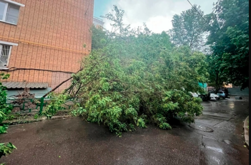 В Москве из-за урагана погиб человек