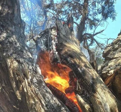 В результате удара молнии в Хосровском государственном заповеднике возник пожар