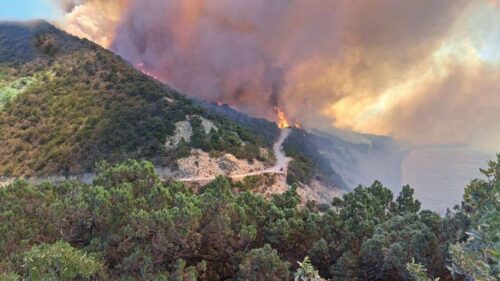 500 people evacuated from Krasnodar recreation areas as forest fire breaks out