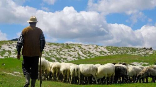 Тело жителя села Акнер нашли на склоне горы