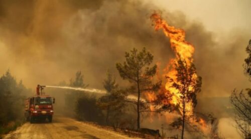 Лесные пожары бушуют в четырех западных провинциях Турции
