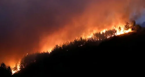 One dead in wildfires in Athens suburbs