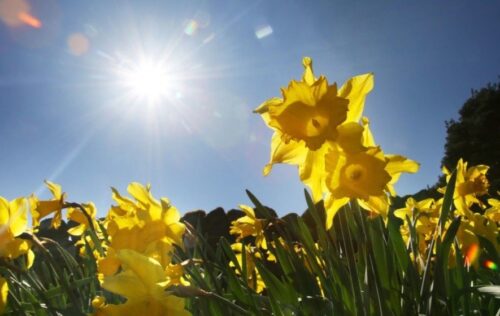 Օդի ջերմաստիճանն աստիճանաբար կբարձրանա