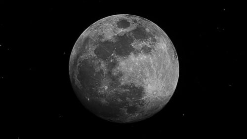 Գիտնականներն առաջարկում են անհետացման եզրին գտնվող կենդանատեսակները տեղափոխել Լուսին