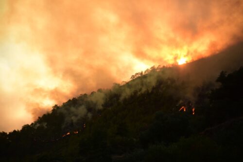 На западе Турции лесные пожары распространились на жилые районы