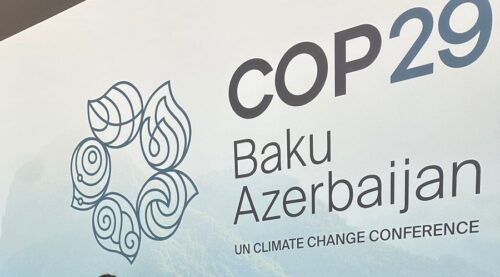 Politico: Wary of Trump and Azerbaijan, businesses shun COP29 talks